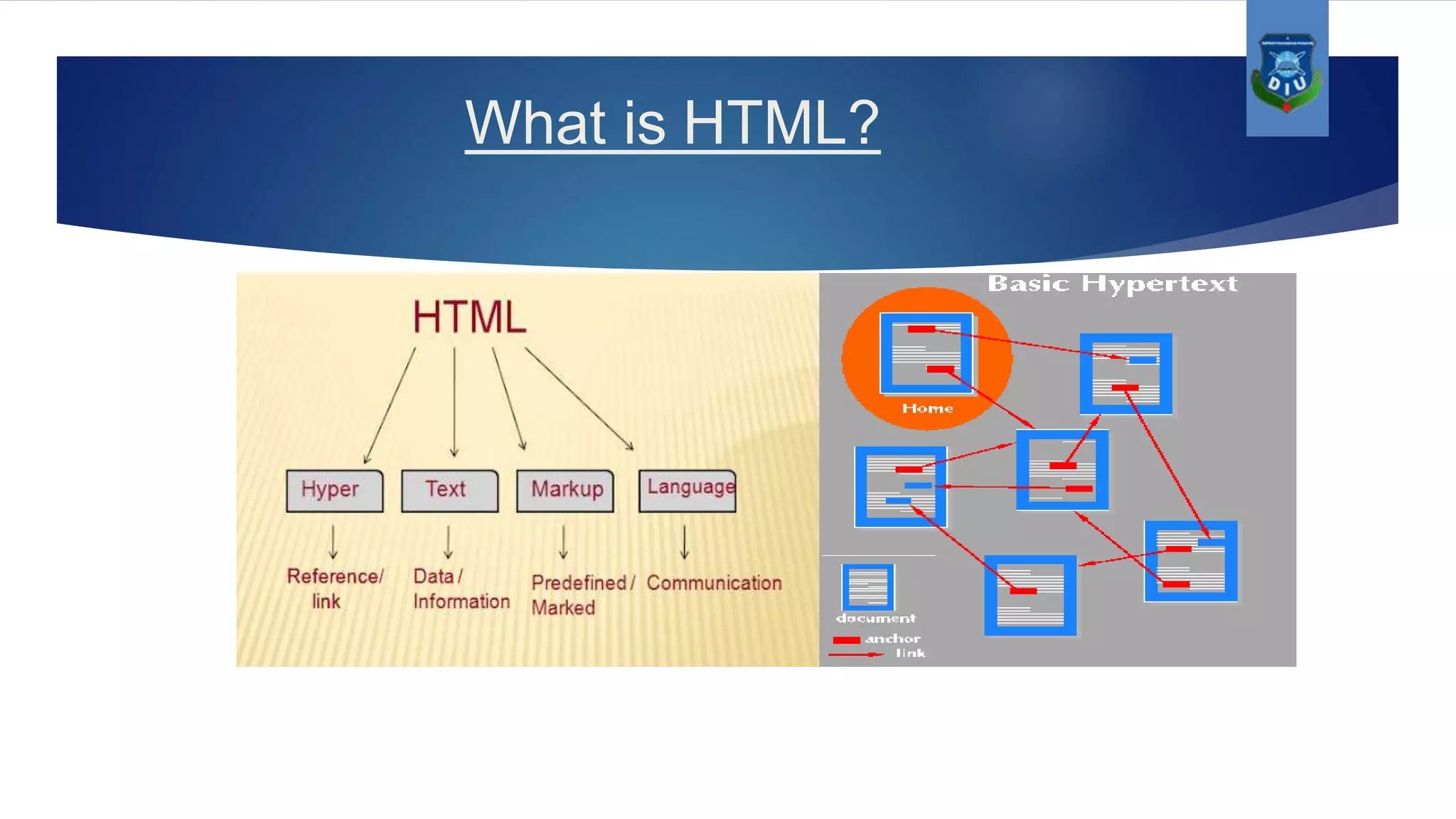 What is HTML? 