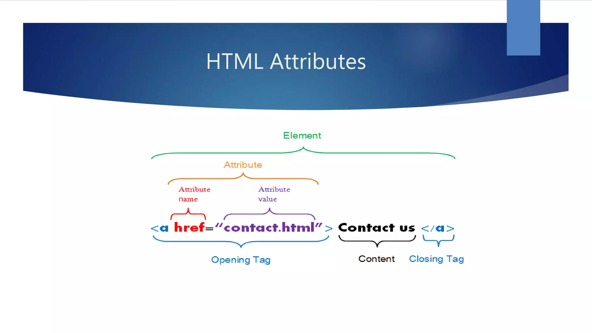 HTML Attributes 