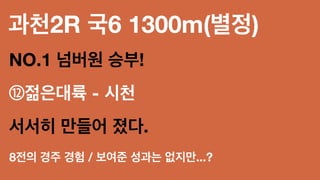 과천2R 국6 1300m(별정)
NO.1 넘버원 승부!
⑫젊은대륙 - 시천
서서히 만들어 졌다.
8전의 경주 경험 / 보여준 성과는 없지만...?
 