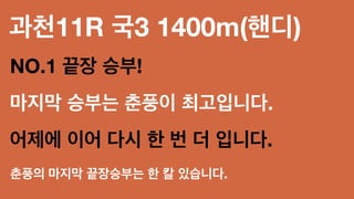 과천11R 국3 1400m(핸디)
NO.1 끝장 승부!
마지막 승부는 춘풍이 최고입니다.
어제에 이어 다시 한 번 더 입니다.
춘풍의 마지막 끝장승부는 한 칼 있습니다.
 