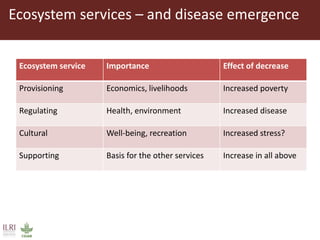 Dynamic drivers of disease emergence in Africa: From hypothetical frameworks to the field 