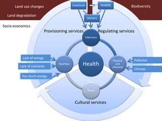 Dynamic drivers of disease emergence in Africa: From hypothetical frameworks to the field 