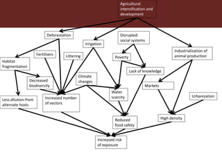 Dynamic drivers of disease emergence in Africa: From hypothetical frameworks to the field 