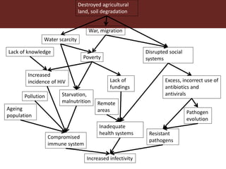 Dynamic drivers of disease emergence in Africa: From hypothetical frameworks to the field 