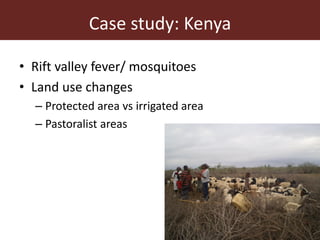 Dynamic drivers of disease emergence in Africa: From hypothetical frameworks to the field 