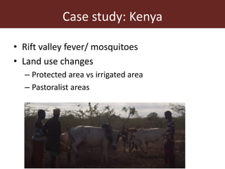 Dynamic drivers of disease emergence in Africa: From hypothetical frameworks to the field 