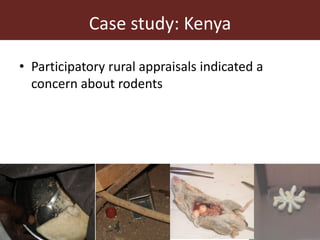 Dynamic drivers of disease emergence in Africa: From hypothetical frameworks to the field 