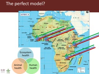 Dynamic drivers of disease emergence in Africa: From hypothetical frameworks to the field 