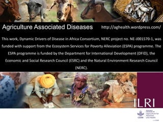 Dynamic drivers of disease emergence in Africa: From hypothetical frameworks to the field 