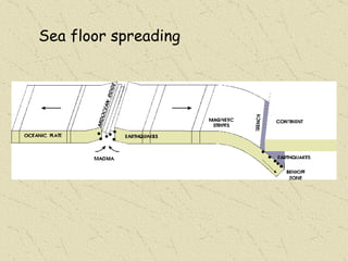 Sea floor spreading 