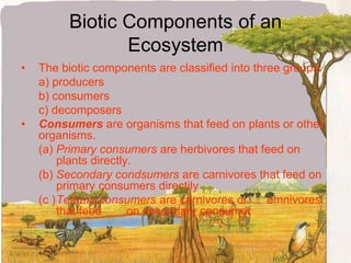 Biotic Components of an EcosystemThe biotic components are classified into three groups:	a) producers	b) consumers	c) decomposersConsumers are organisms that feed on plants or other organisms.	(a) Primary consumers are herbivores that feed on 	plants directly.	(b) Secondary condsumers are carnivores that feed on 	primary consumers directily	(c )	Tertiary consumers are carnivores or 	omnivores 	that feed 	on secondary consumer