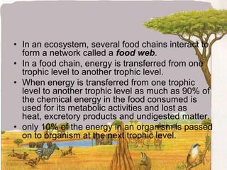 In an ecosystem, several food chains interact to form a network called a food web. In a food chain, energy is transferred from one trophic level to another trophic level.When energy is transferred from one trophic level to another trophic level as much as 90% of the chemical energy in the food consumed is used for its metabolic activities and lost as heat, excretory products and undigested matter.only 10% of the energy in an organism is passed on to organism at the next trophic level.