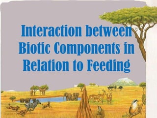 Interaction between Biotic Components in Relation to Feeding