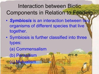 Interaction between Biotic Components in Relation to FeedingSymbiosis is an interaction between two organisms of different species that live together.Symbiosis is further classified into three types:	(a) Commensalism	(b) Parasitism	(c) Mutualism