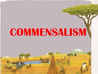 COMMENSALISM