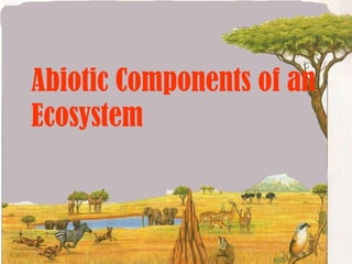 Abiotic Components of an Ecosystem