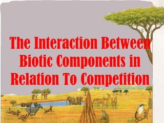 The Interaction Between Biotic Components in Relation To Competition