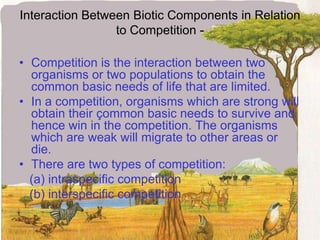 Interaction Between Biotic Components in Relation to Competition -Competition is the interaction between two organisms or two populations to obtain the common basic needs of life that are limited.In a competition, organisms which are strong will obtain their çommon basic needs to survive and hence win in the competition. The organisms which are weak will migrate to other areas or die.There are two types of competition:   (a) intraspecific competition   (b) interspecific competition