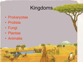 BIODIVERSITY AND CLASSIFICATION