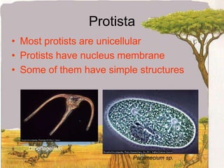 Classification of organismsOrganisms with same basic features are grouped together into a kingdomKingdom is the largest unit of classificationAll organisms are grouped into five kingdoms