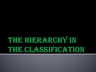 FungiConsists mushrooms, molds, fungus and trufflesAbsence of chlorophylls Reproduction by sporesSulfur mushroomGiant puffballmucorAgric mushroom