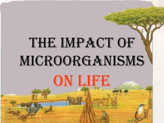 Taxonomic groupPlant exampleAnimal exampleKingdomPlantAnimalAnimalPhylumTracheophytaAnnelidaChordateClassAngiospermaeOligocheataMammaliaRanalesTerricolaePrimatesOrderFamilyRanunculaceaeLumbricidaehominidaeGenusRanunculusLumbricusHomo SpeciesacristerrestrissapiensearthwormhumanCommonnameMeadow buttercup