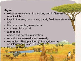 The Impact of microorganismsOn Life