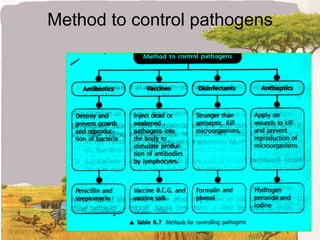 Bacteriaunicellular microorganismcan be seen under a microscope at high powerhas a cell wallgenetic material scattered in the cytoplasm because there is no nuclear membranreproduces asexualy by binary fisionforms spores when conditions are not suitableableexamples: Lactobacillus sp., StaphyIococcus sp.Kingdom: Monera