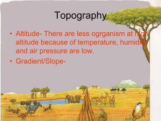 TopographyAltitude- There are less ogrganism at high altitude because of temperature, humidity and air pressure are low.Gradient/Slope- 