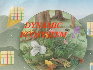 DYNAMIC ECOSYSTEM 