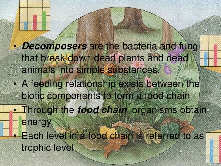 How Do Benefit Ecosystems