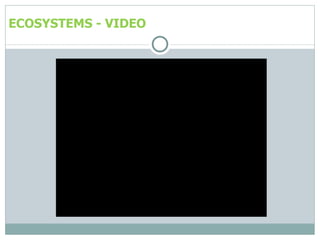 Dynamic ecosystem | PPT