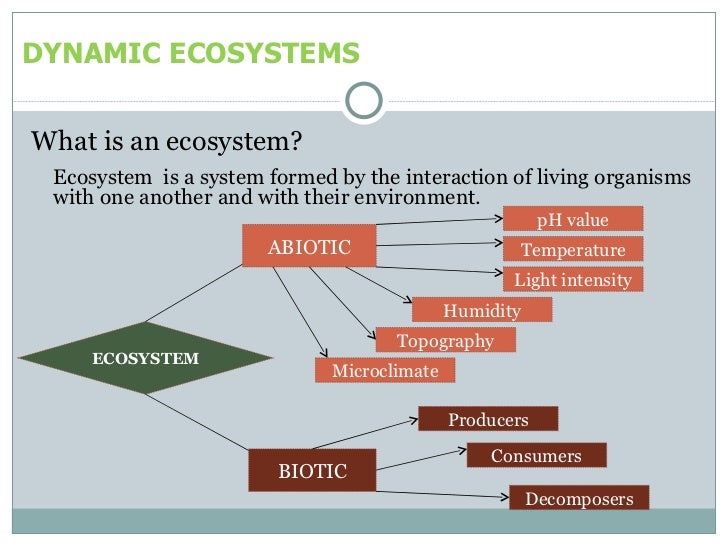 Dynamic ecosystem