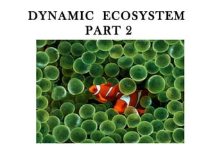 DYNAMIC ECOSYSTEM 
PART 2 
Part 2 
 