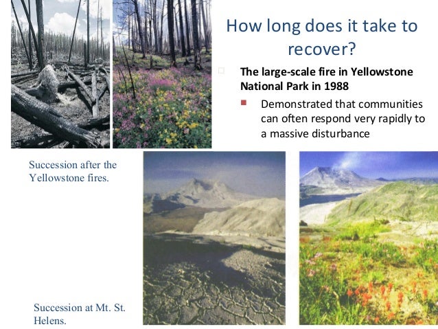 biology form 4 chapter 8 dynamic ecosystem part 2 how long does it take soil to form