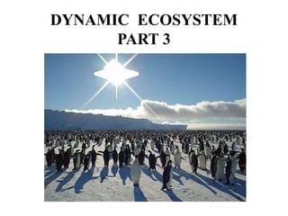 DYNAMIC ECOSYSTEM
PART 3
Part 2
 