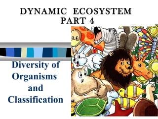Diversity of
Organisms
and
Classification
DYNAMIC ECOSYSTEM
PART 4
 