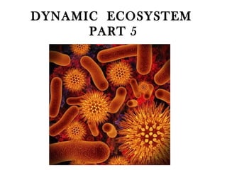 DYNAMIC ECOSYSTEM
PART 5
 