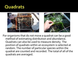 For organisms that do not move a quadrat can be a good
  method of estimating distribution and abundance.
  Quadrats can also be used to measure density. The
  position of quadrats within an ecosystem is selected at
  random. The number of particular species within the
  quadrat are counted and recorded. The total of all of the
  quadrats are averaged.
 