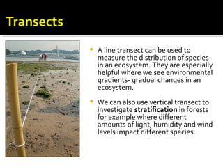    A line transect can be used to
    measure the distribution of species
    in an ecosystem. They are especially
    helpful where we see environmental
    gradients- gradual changes in an
    ecosystem.
   We can also use vertical transect to
    investigate stratification in forests
    for example where different
    amounts of light, humidity and wind
    levels impact different species.
 