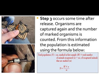    Step 3 occurs some time after
    release. Organisms are
    captured again and the number
    of marked organisms is
    counted. From this information
    the population is estimated
    using the formula below:
 