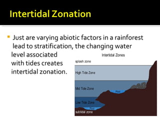     Just are varying abiotic factors in a rainforest
     lead to stratification, the changing water
    level associated
    with tides creates
    intertidal zonation.
 