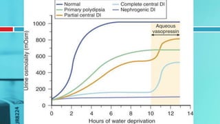 Dynamic Function Test Examples Dynamic endocrine tests | PPTX