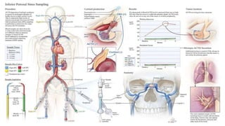 Dynamic Function Test Examples Dynamic endocrine tests | PPTX