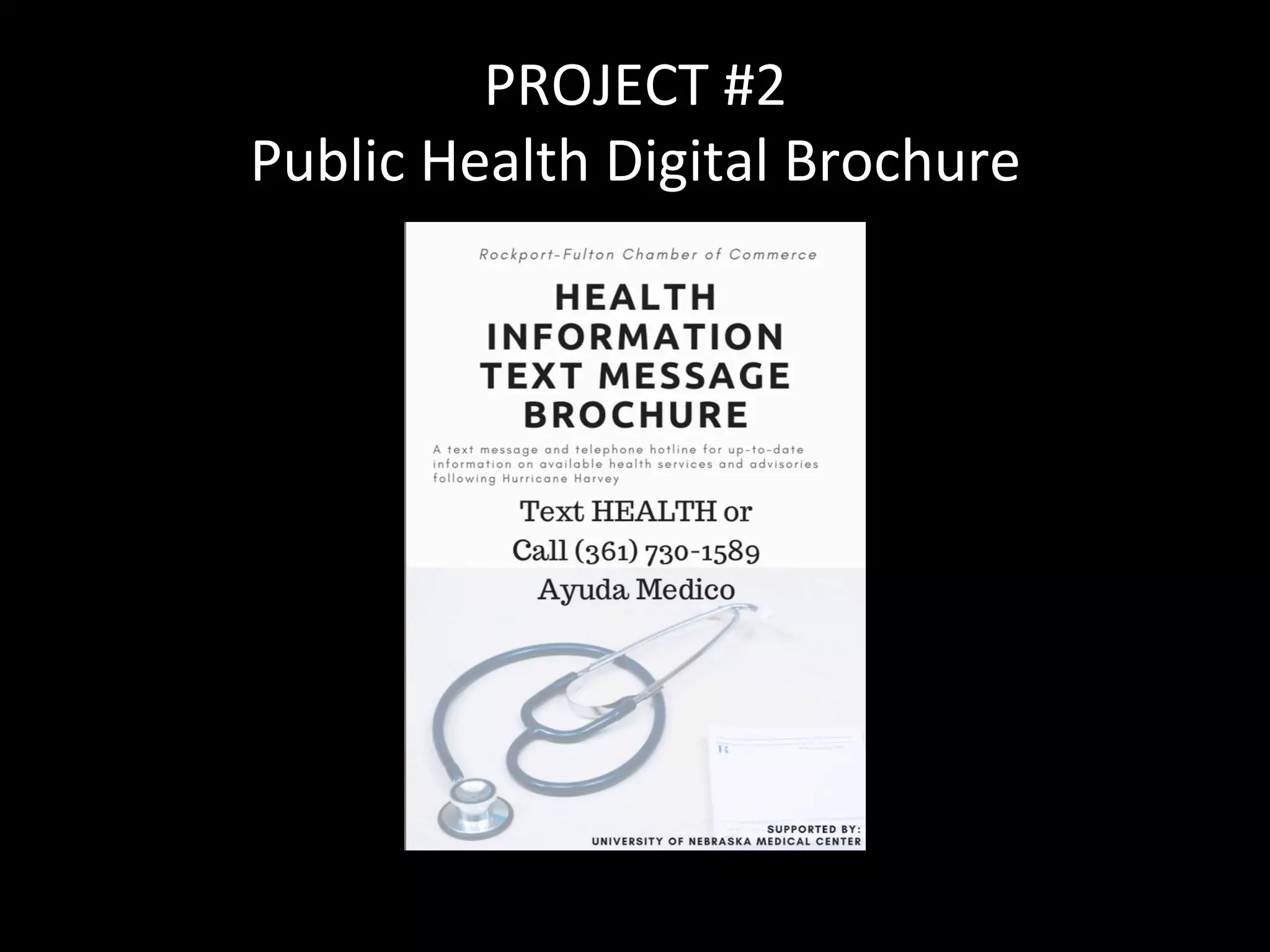 PROJECT	#2	
Public	Health	Digital	Brochure	
 