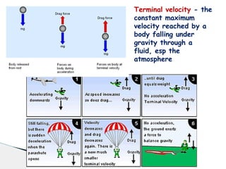 Terminal velocity - the
constant maximum
velocity reached by a
body falling under
gravity through a
fluid, esp the
atmosphere
 