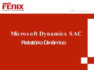 Microsoft Dynamics SAC Relatório Dinâmico 