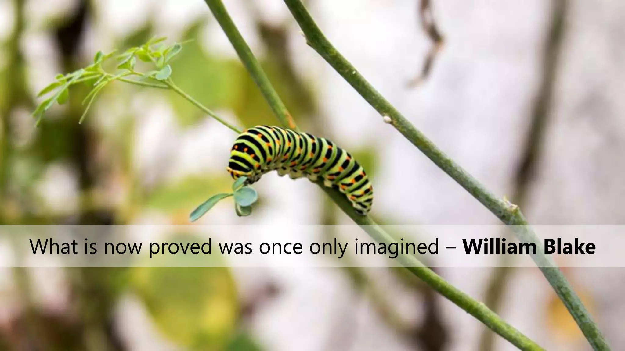 What is now proved was once only imagined – William Blake
 