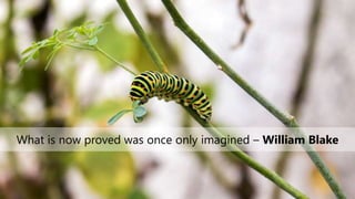What is now proved was once only imagined – William Blake
 