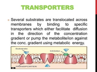 TRANSPORTERS
 Several substrates are translocated across
membranes by binding to specific
transporters which either facilitate diffusion
in the direction of the concentration
gradient or pump the metabolite/ion against
the conc. gradient using metabolic energy.
 